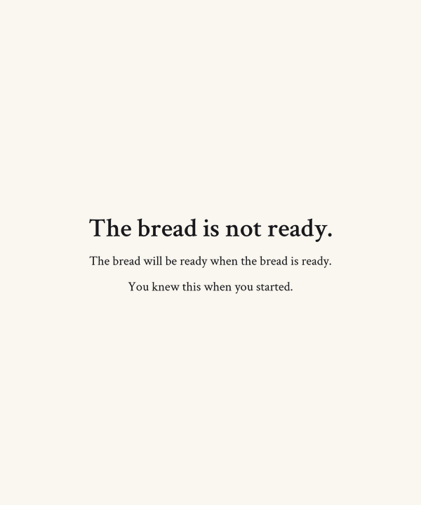 Sourdough Anti-Motivational Shirt — Funny Bread Baker Gift, Patient Fe
