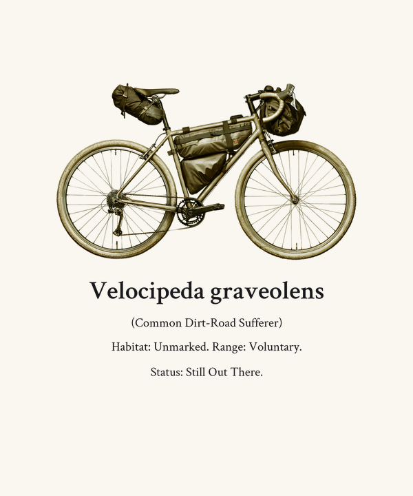 Gravel Cycling Taxonomy Shirt — Funny Bikepacking Gift, Vintage Natura