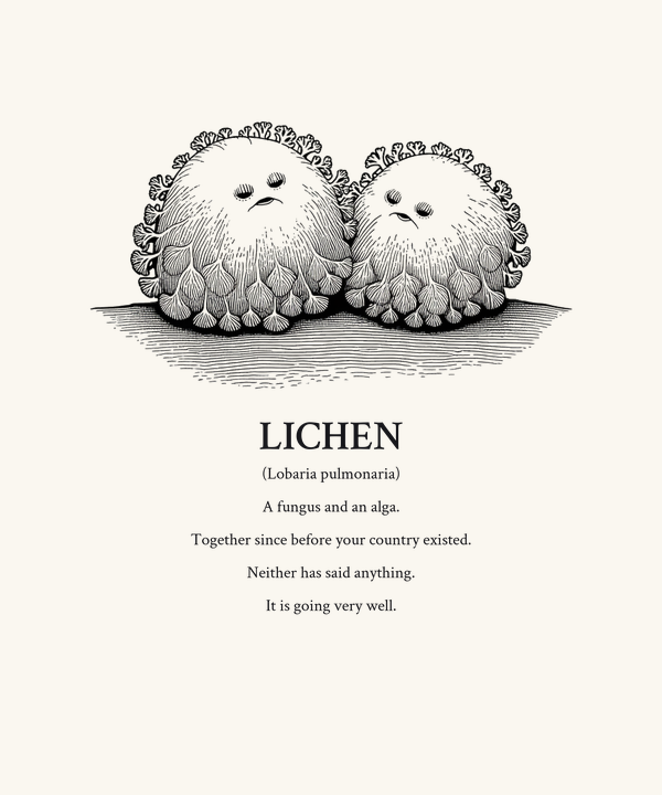 Lichen Dark Cute Shirt — Funny Mycology Biology Tee, Symbiosis Science