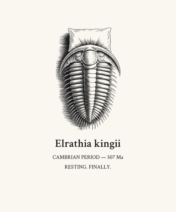 Trilobite Dark Cute Shirt — Fossil Collector Cozy Tee, Cambrian Paleon