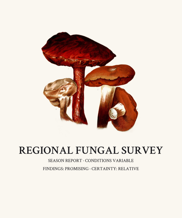 Regional Fungal Survey Shirt — Vintage Mycology Tee, Mushroom Forager 