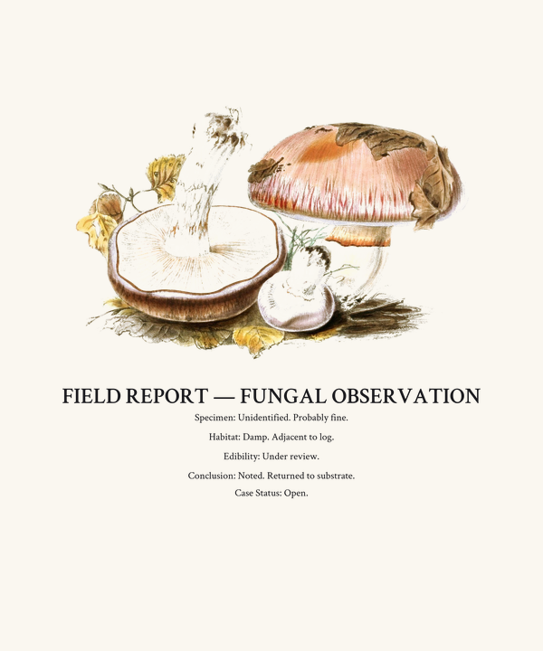 Fungal Field Report Shirt — Specific Absurdist Mycology Tee, Mushroom 